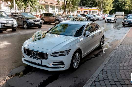 Вариант свадебного украшения 33