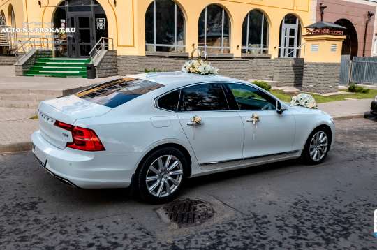 Вариант свадебного украшения 33