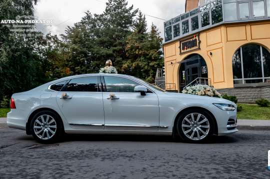 Вариант свадебного украшения 33