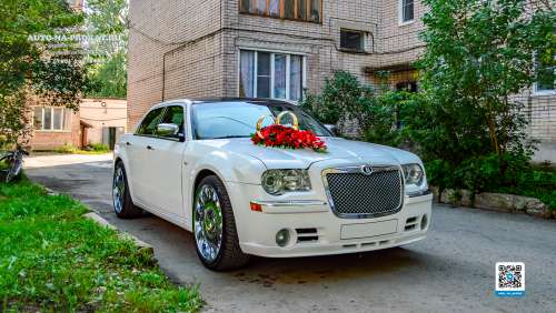 Вариант украшений для свадебного авто №35