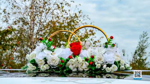 Вариант украшений для свадебного авто №36