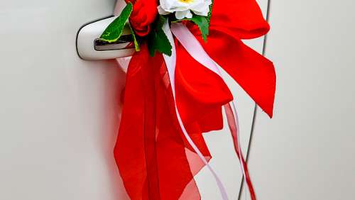 Вариант украшений для свадебного авто №36