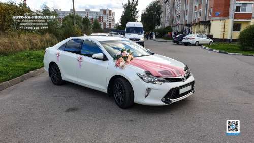 Вариант украшений для свадебного авто №71