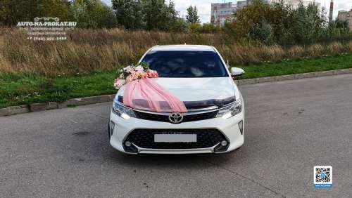 Вариант украшений для свадебного авто №71