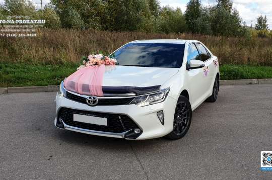 Вариант украшений для свадебного авто №71 Вариант украшений для свадебного авто №71