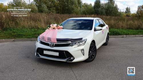 Вариант украшений для свадебного авто №71