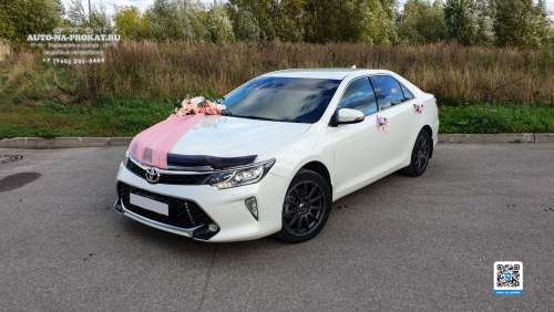 Вариант украшений для свадебного авто №71