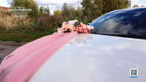 Вариант украшений для свадебного авто №71