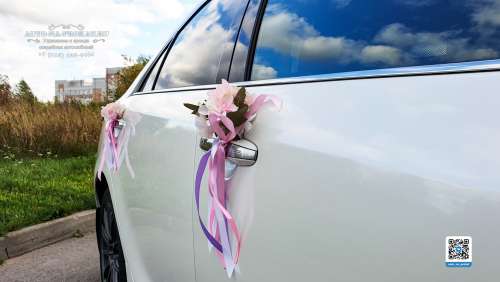 Вариант украшений для свадебного авто №71