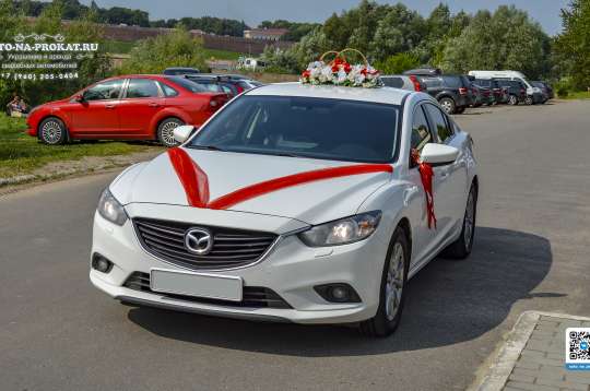 Вариант украшений для свадебного авто №72