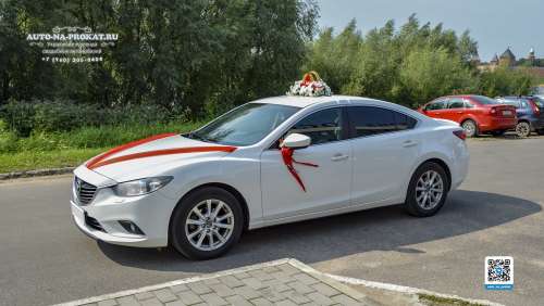 Вариант украшений для свадебного авто №72