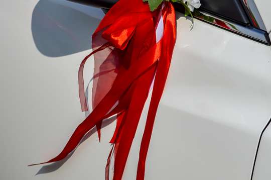 Вариант украшений для свадебного авто №72