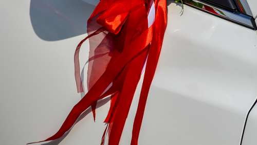 Вариант украшений для свадебного авто №72