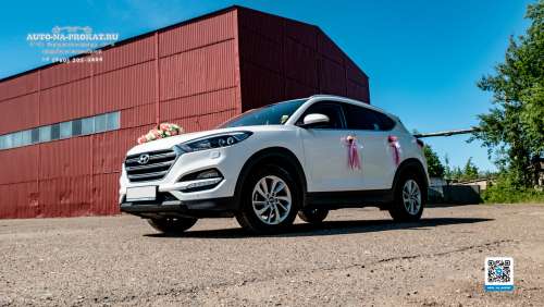 Вариант декора для свадебного авто №37