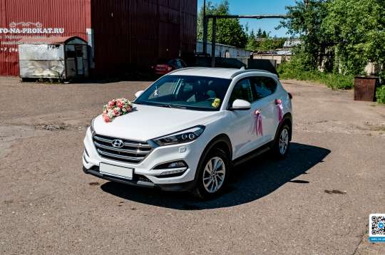 Вариант декора для свадебного авто №37