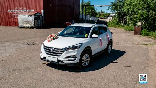 Вариант декора для свадебного авто №37