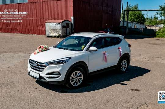 Вариант украшений для свадебного авто №37