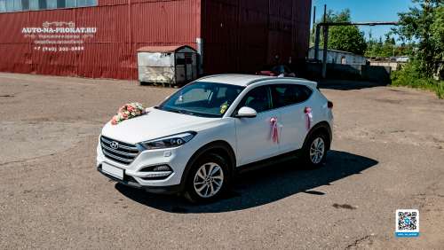 Вариант декора для свадебного авто №37