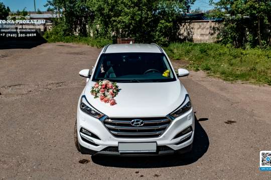 Вариант декора для свадебного авто №37