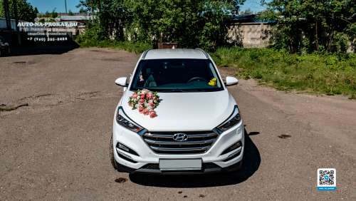 Вариант декора для свадебного авто №37