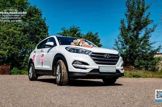 Вариант декора для свадебного авто №37