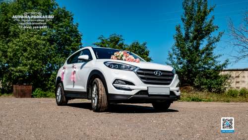 Вариант декора для свадебного авто №37