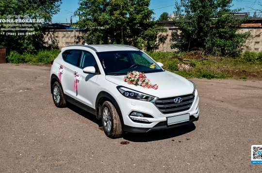 Вариант декора для свадебного авто №37