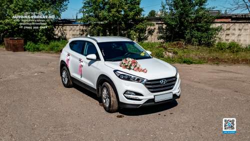 Вариант декора для свадебного авто №37