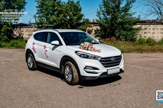 Вариант декора для свадебного авто №37