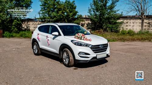 Вариант декора для свадебного авто №37