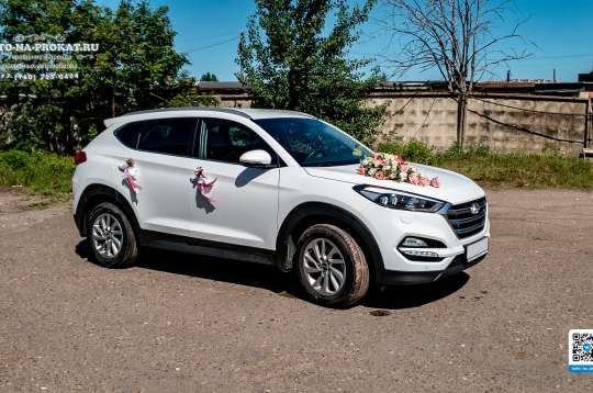 Вариант декора для свадебного авто №37