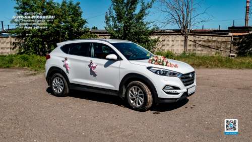 Вариант декора для свадебного авто №37