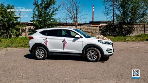 Вариант декора для свадебного авто №37