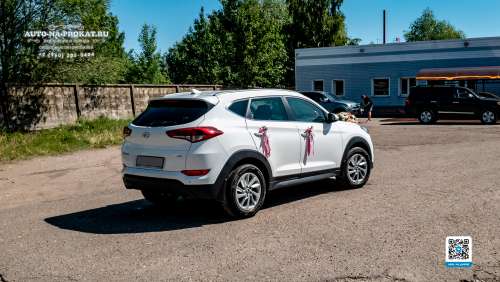 Вариант декора для свадебного авто №37