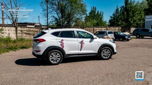 Вариант декора для свадебного авто №37