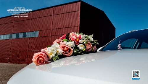 Вариант декора для свадебного авто №37