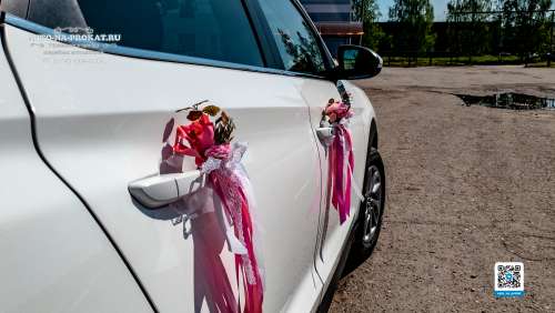 Вариант декора для свадебного авто №37