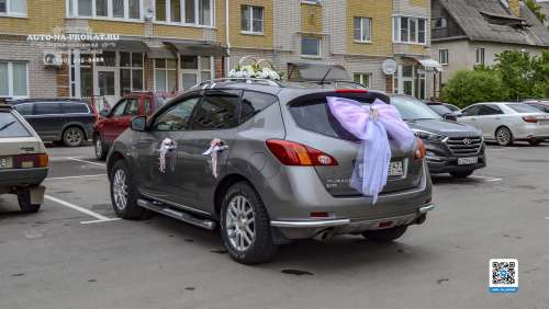 Вариант украшений для свадебного авто №74