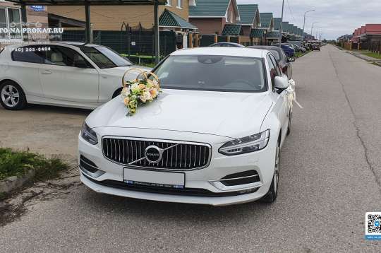 Вариант украшений для свадебного авто №73