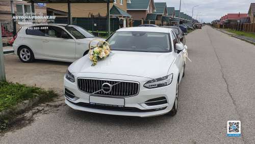 Вариант украшений для свадебного авто №73