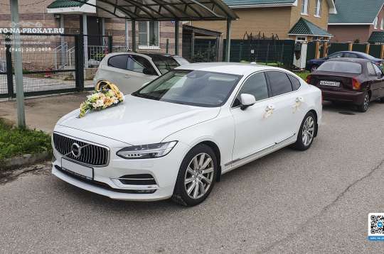 Вариант украшений для свадебного авто №73