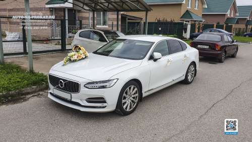 Вариант украшений для свадебного авто №73