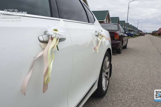 Вариант украшений для свадебного авто №73