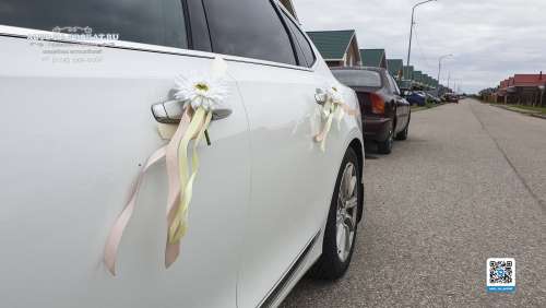 Вариант украшений для свадебного авто №73