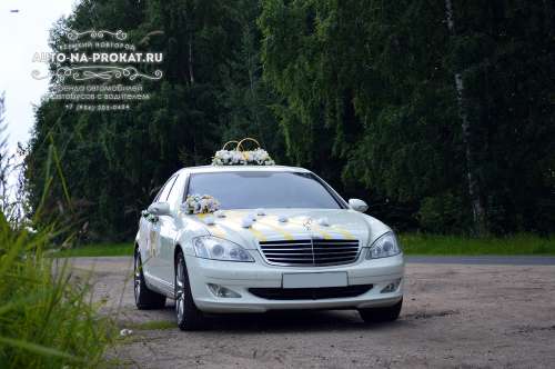 Mercedes-Benz S350 и вариант украшения №19