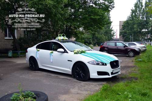 Jaguar XF и вариант украшения №05