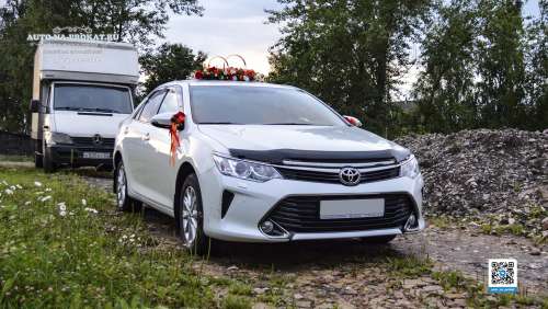 Вариант украшений для свадебного авто №75