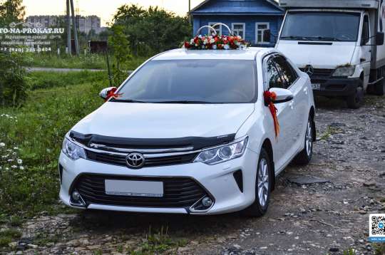 Вариант украшений для свадебного авто №75