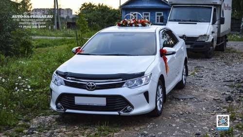 Вариант украшений для свадебного авто №75