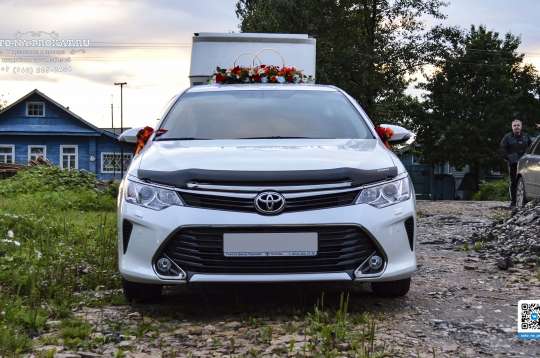 Вариант украшений для свадебного авто №75